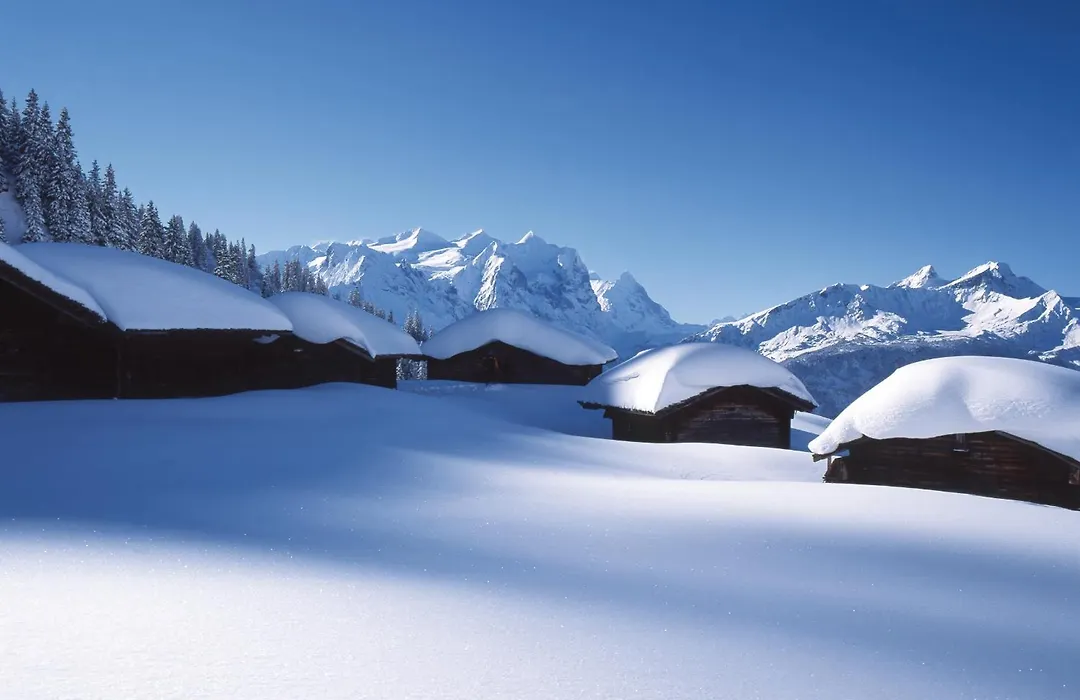 Victoria - Alpine Boutique Hotel & Fine Dining-1